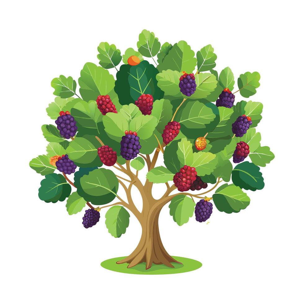 Beautiful Single Big Tree Illustration vector