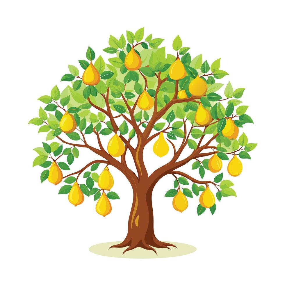 Beautiful Single Big Tree Illustration vector