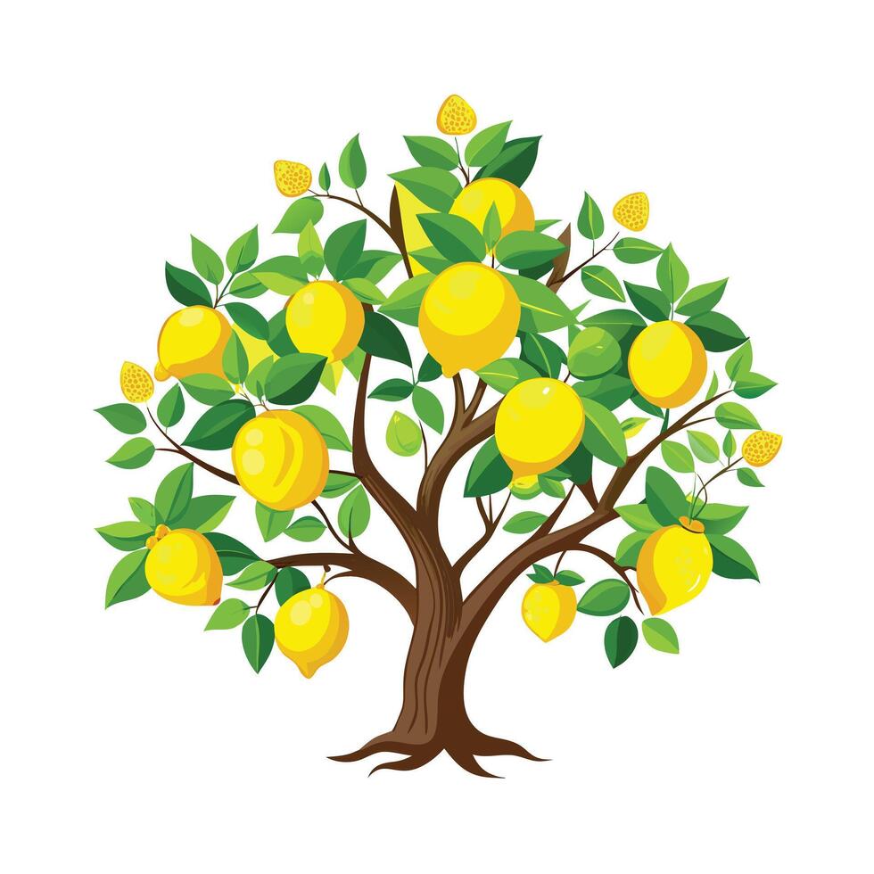 Beautiful Single Big Tree Illustration vector