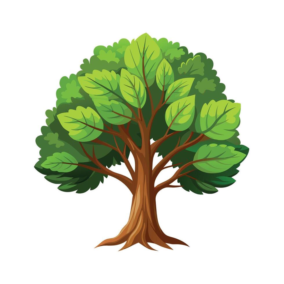 Beautiful Single Big Tree Illustration vector