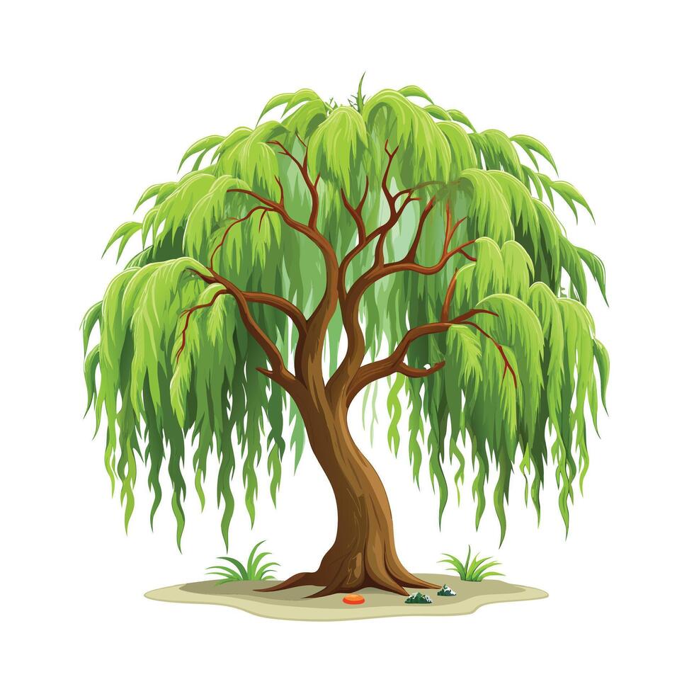 Beautiful Single Big Tree Illustration vector