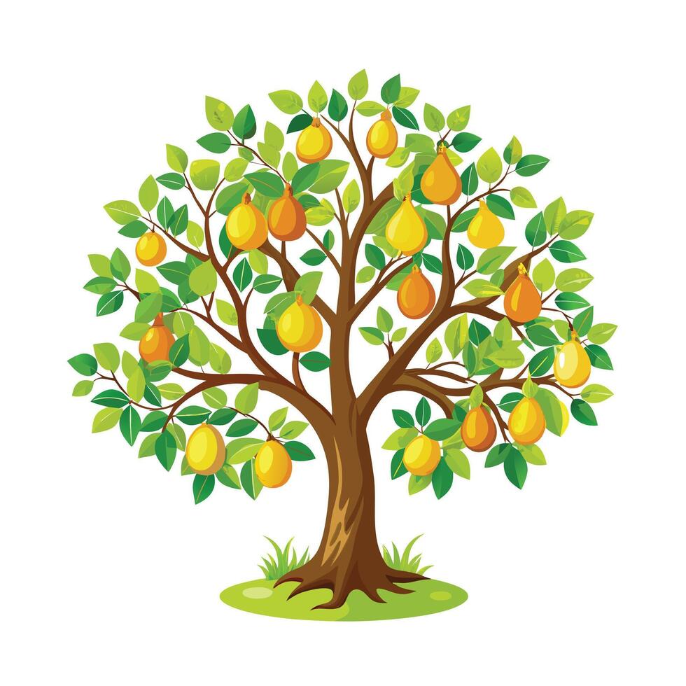 Beautiful Single Big Tree Illustration vector