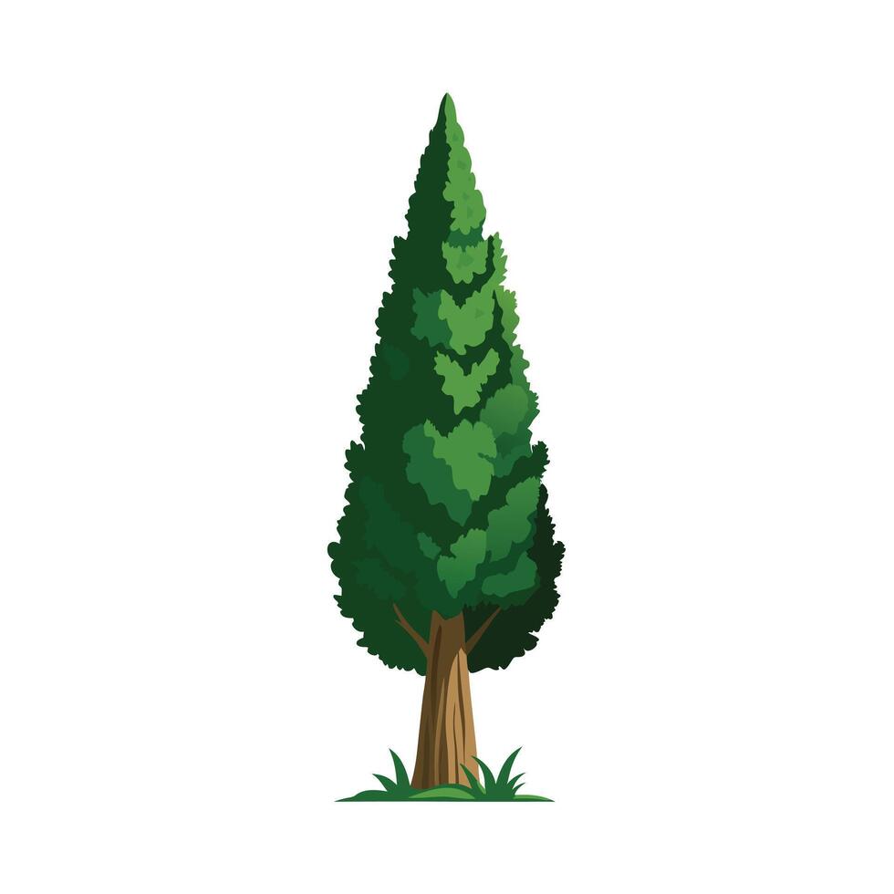 Beautiful Single Big Tree Illustration vector