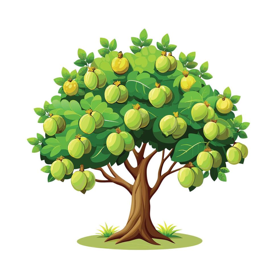 Beautiful Single Big Tree Illustration vector