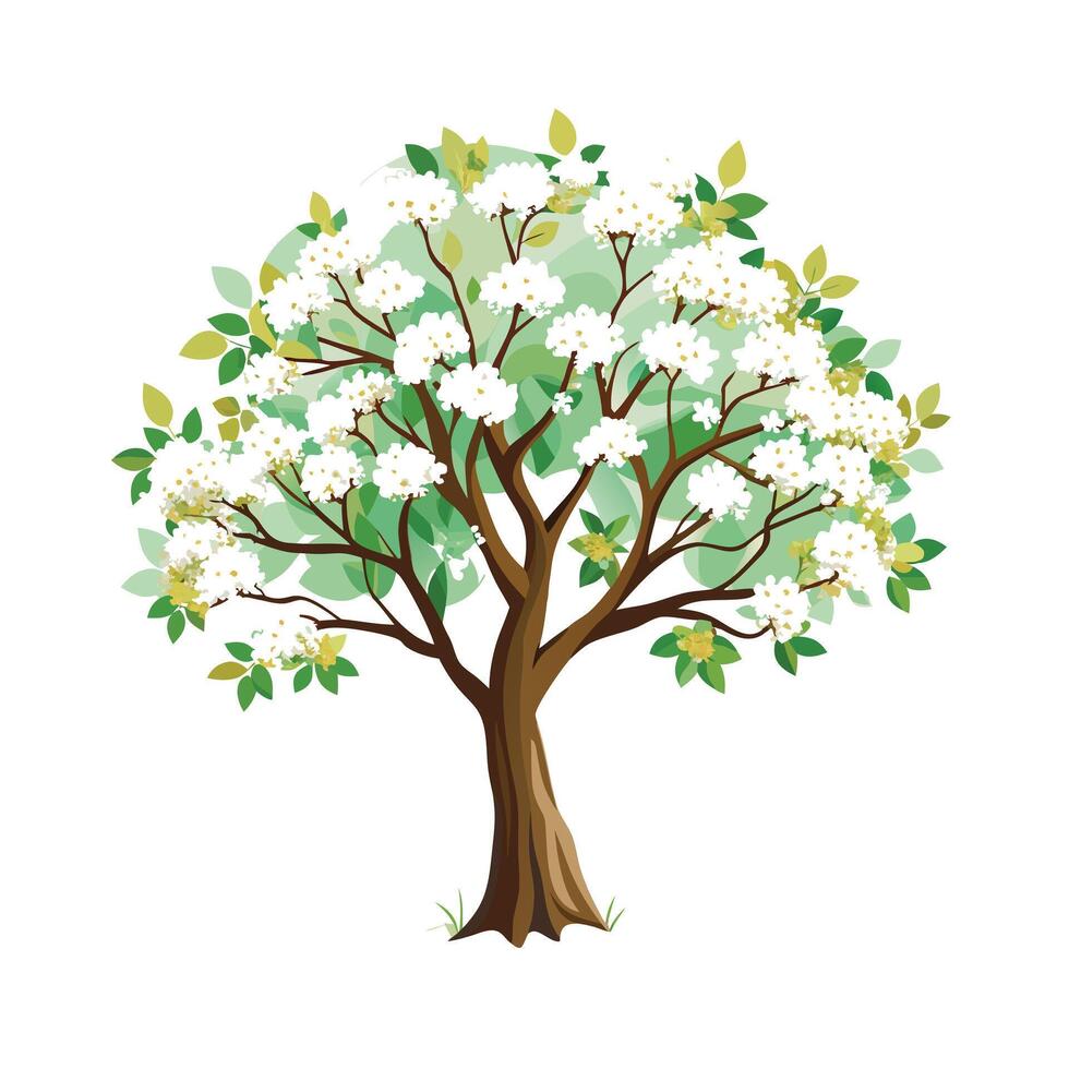 Beautiful Single Big Tree Illustration vector