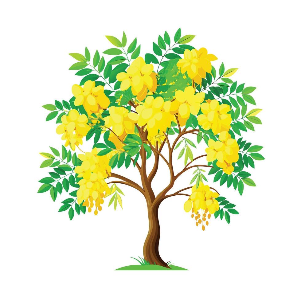 Beautiful Single Big Tree Illustration vector