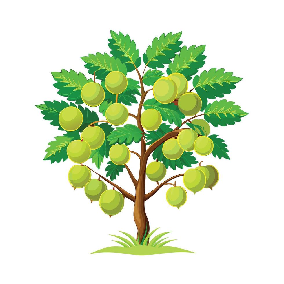 Beautiful Single Big Tree Illustration vector