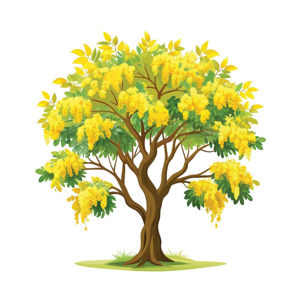 Beautiful Single Big Tree Illustration vector
