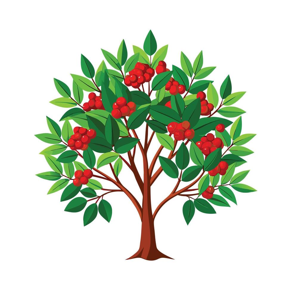 Beautiful Single Big Tree Illustration vector