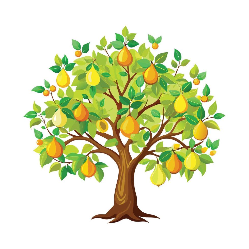Beautiful Single Big Tree Illustration vector
