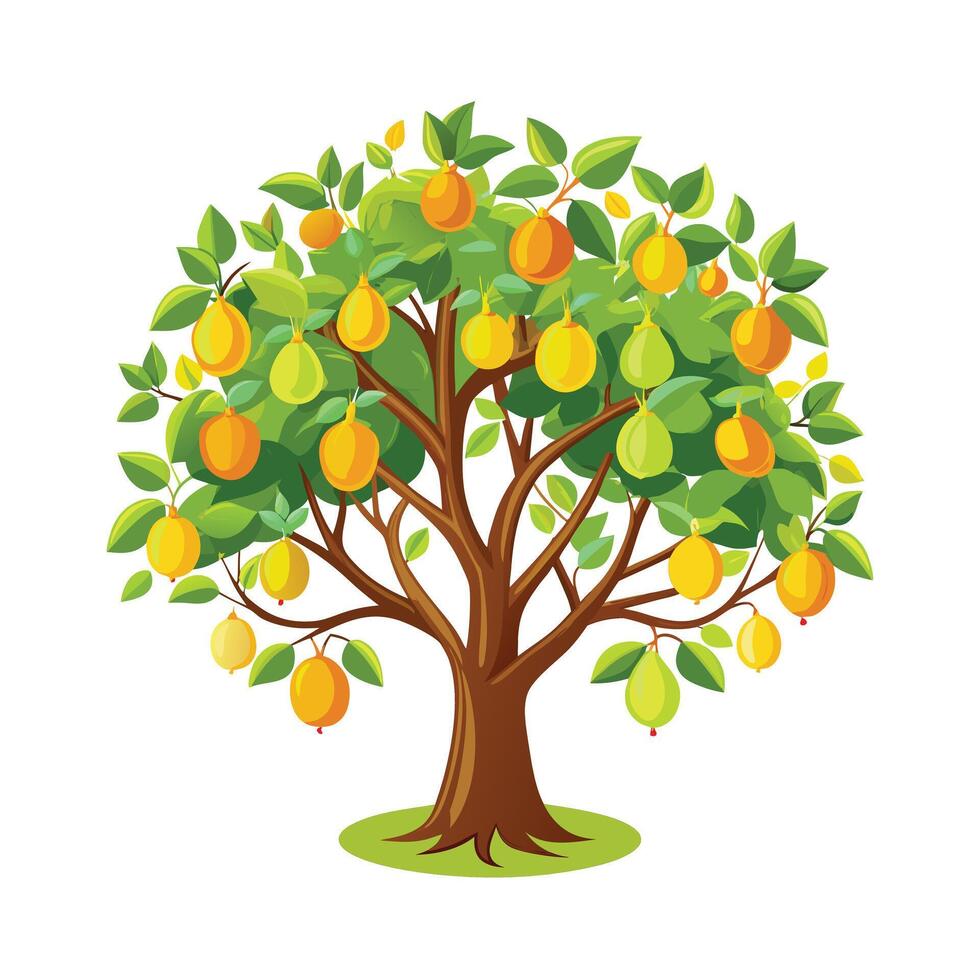 Beautiful Single Big Tree Illustration vector