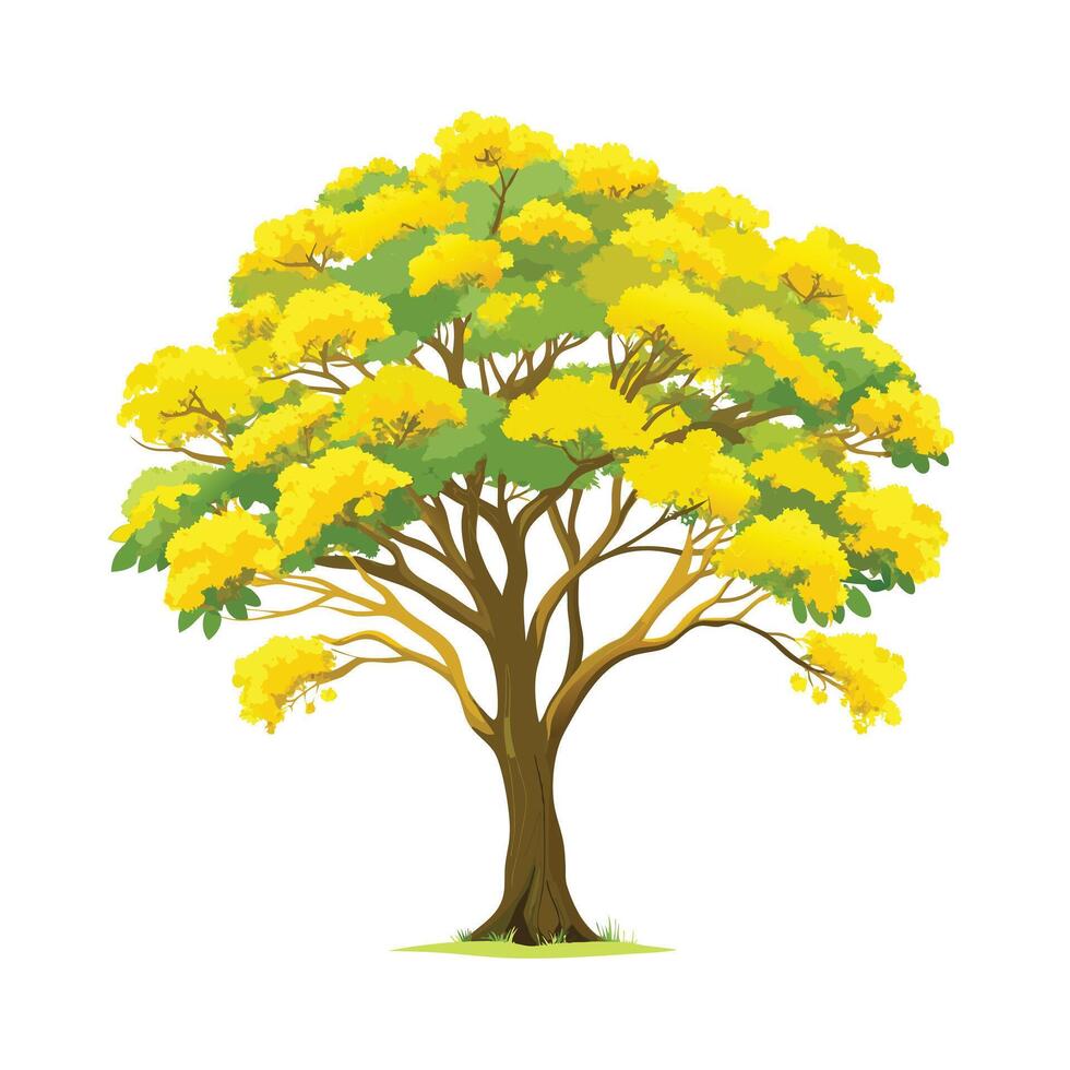 Beautiful Single Big Tree Illustration vector