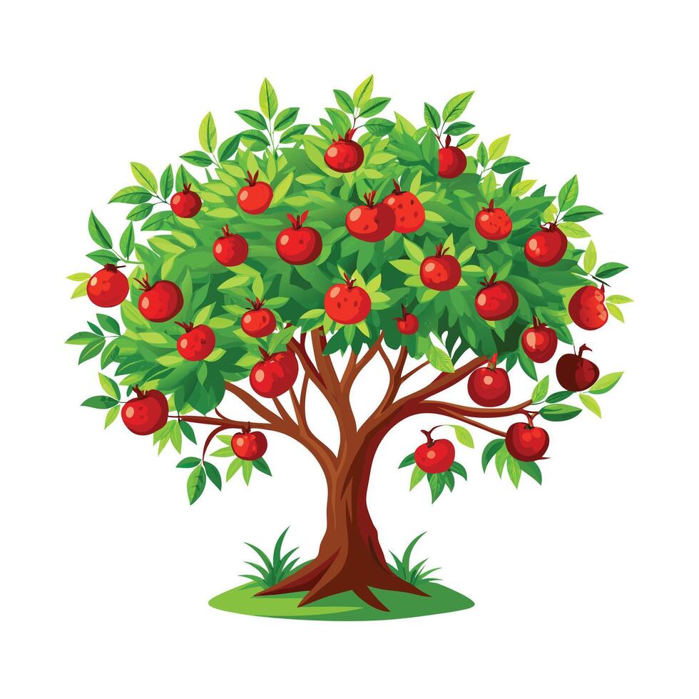 Beautiful Single Big Tree Illustration vector
