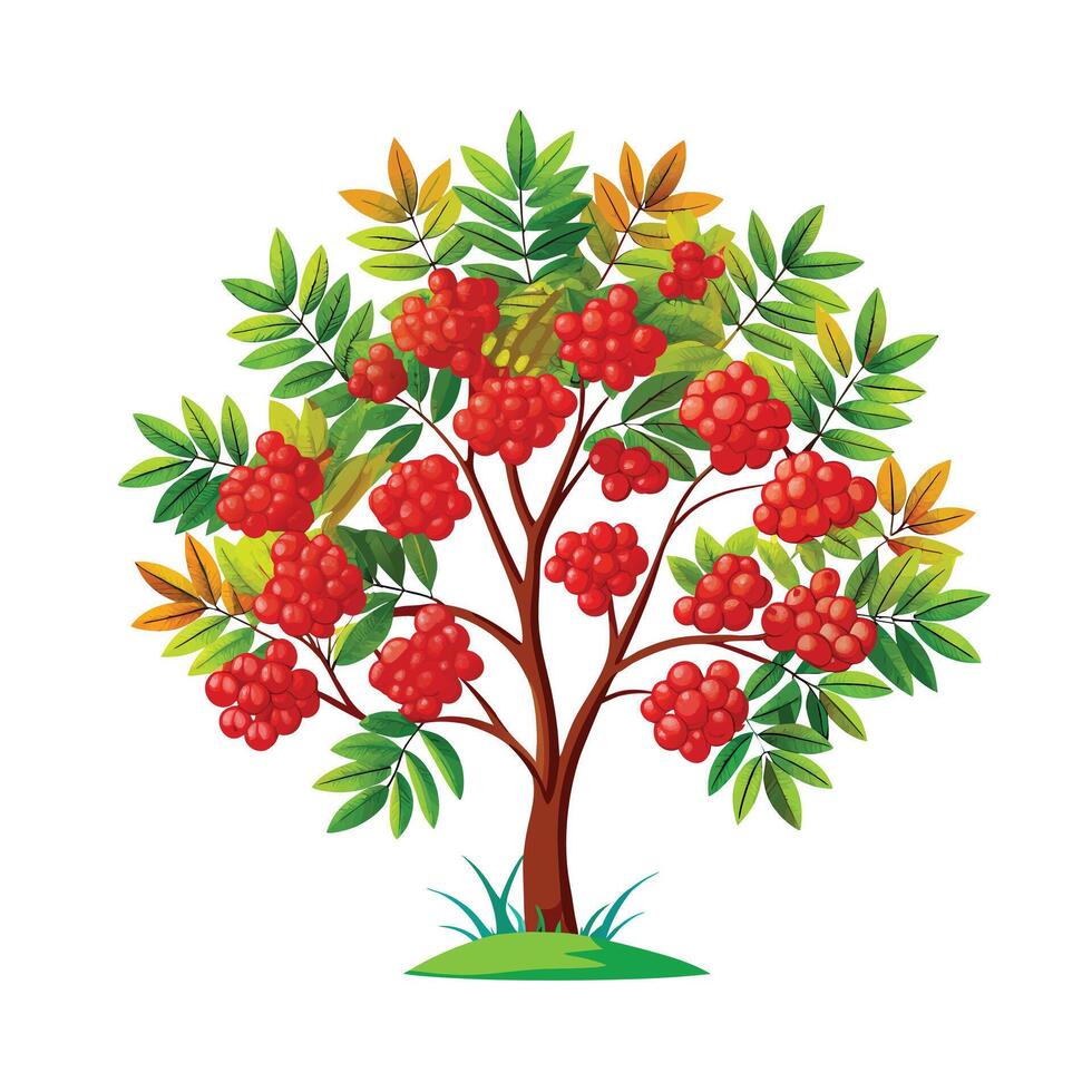Beautiful Single Big Tree Illustration vector