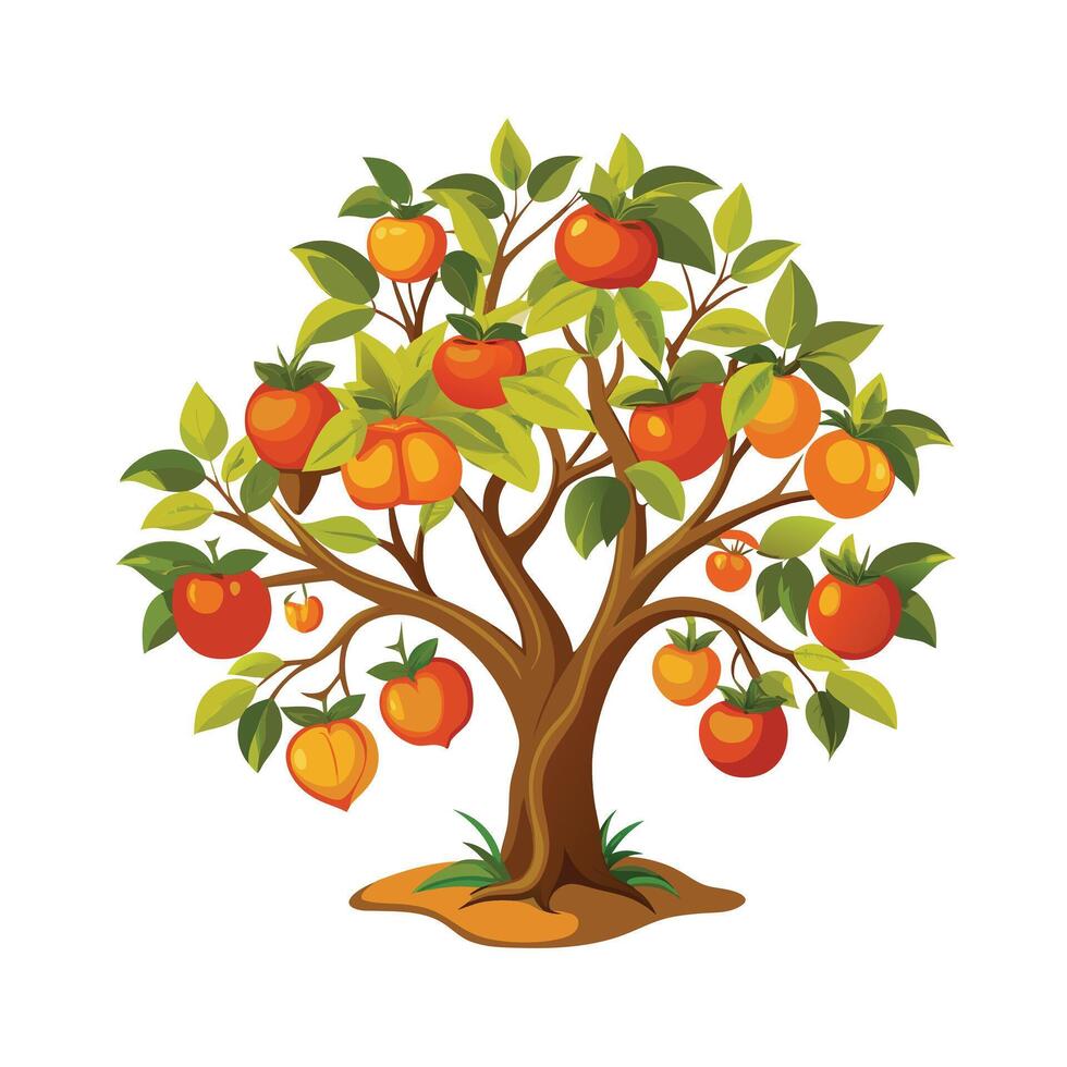 Beautiful Single Big Tree Illustration vector