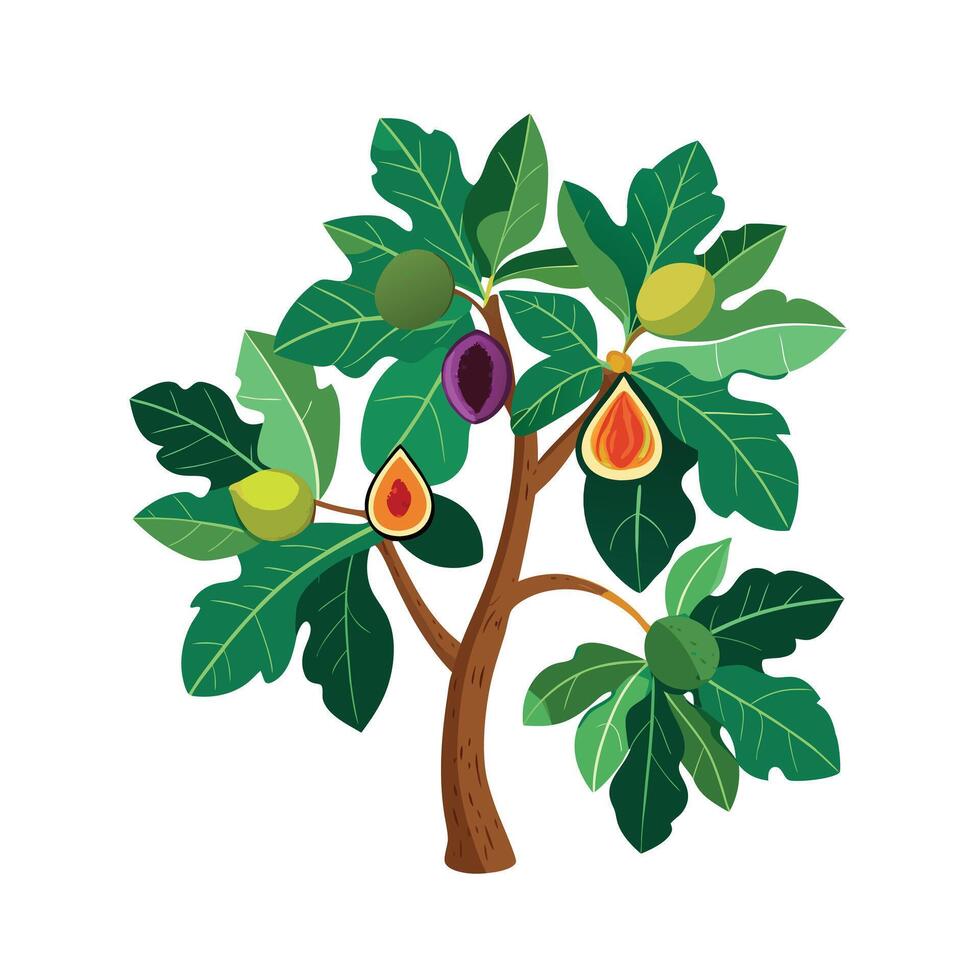 Beautiful Single Big Tree Illustration vector