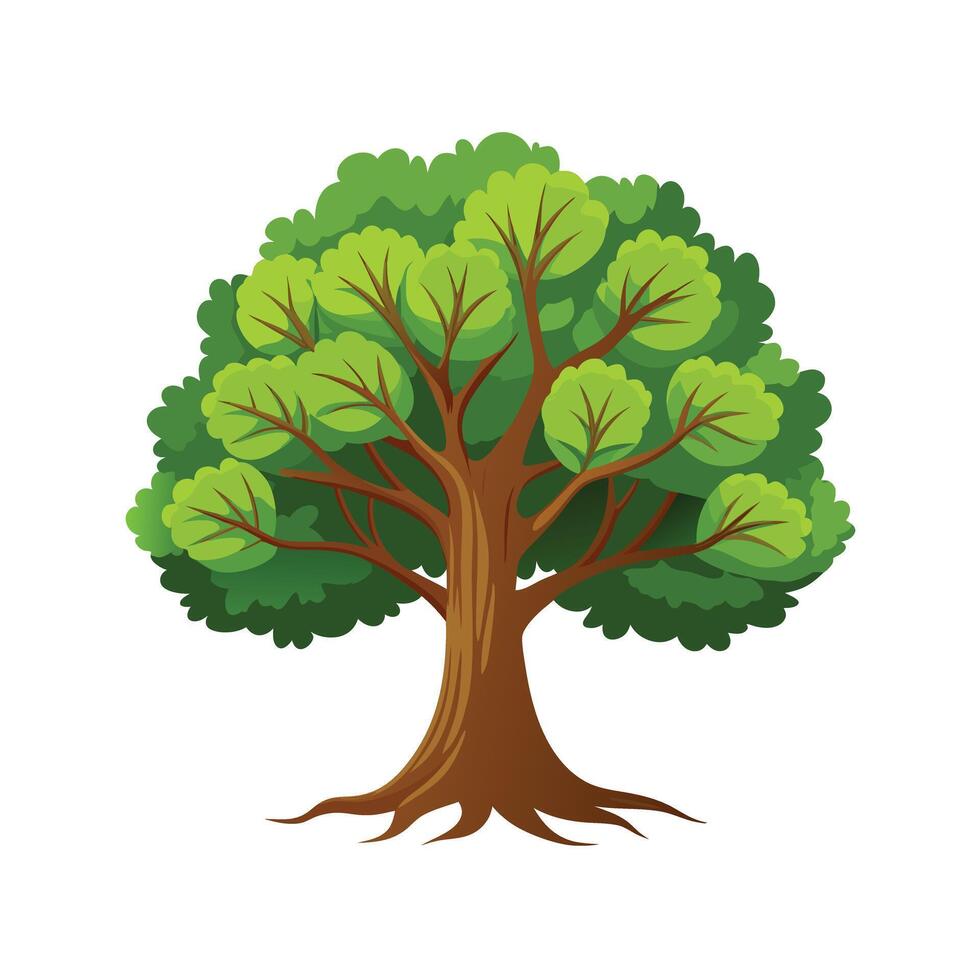 Beautiful Single Big Tree Illustration vector