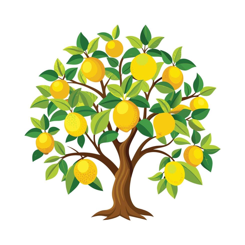 Beautiful Single Big Tree Illustration vector