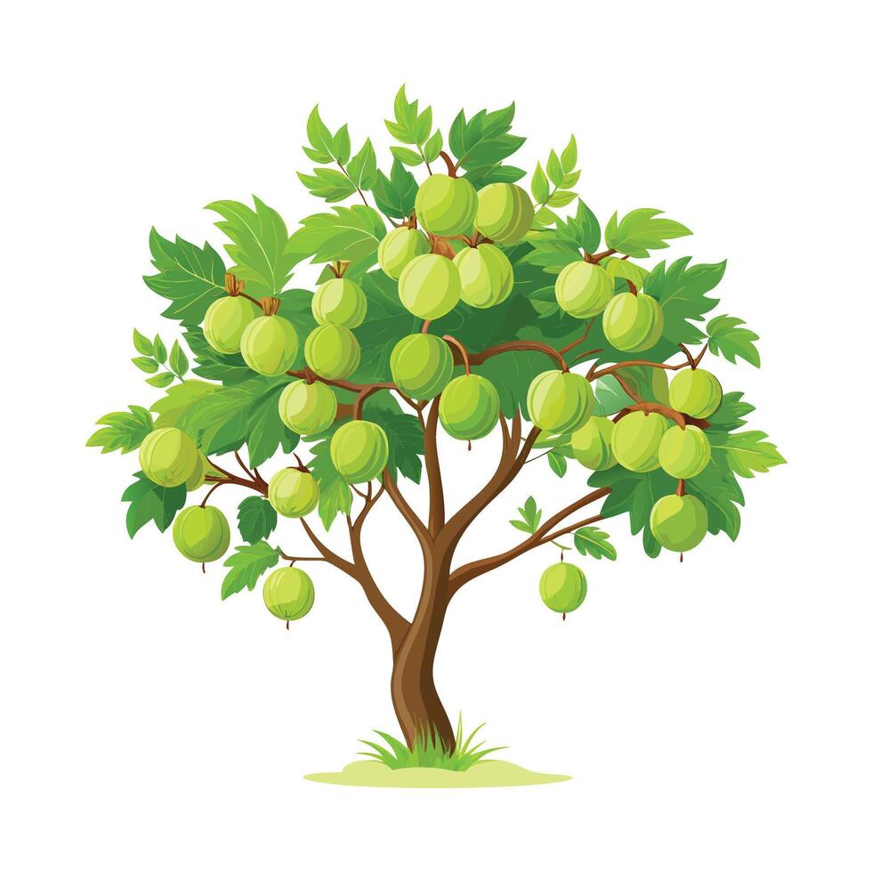 Beautiful Single Big Tree Illustration vector