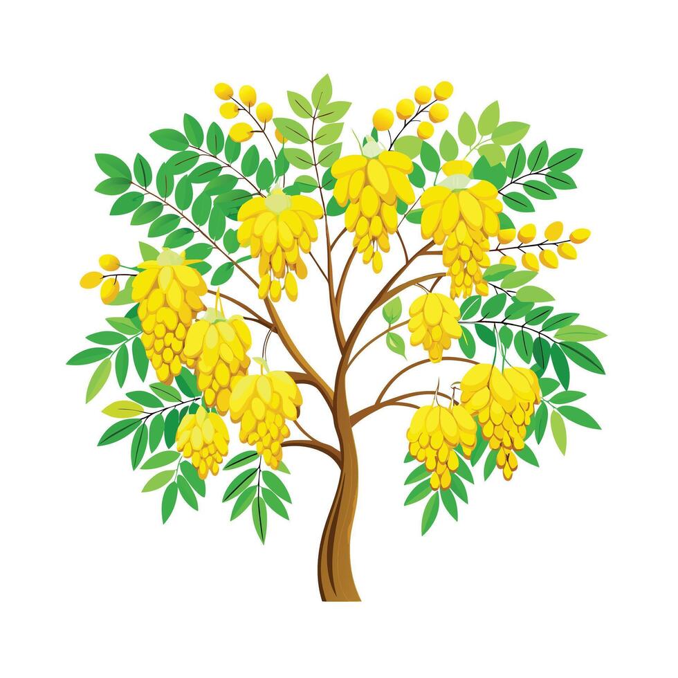 Beautiful Single Big Tree Illustration vector