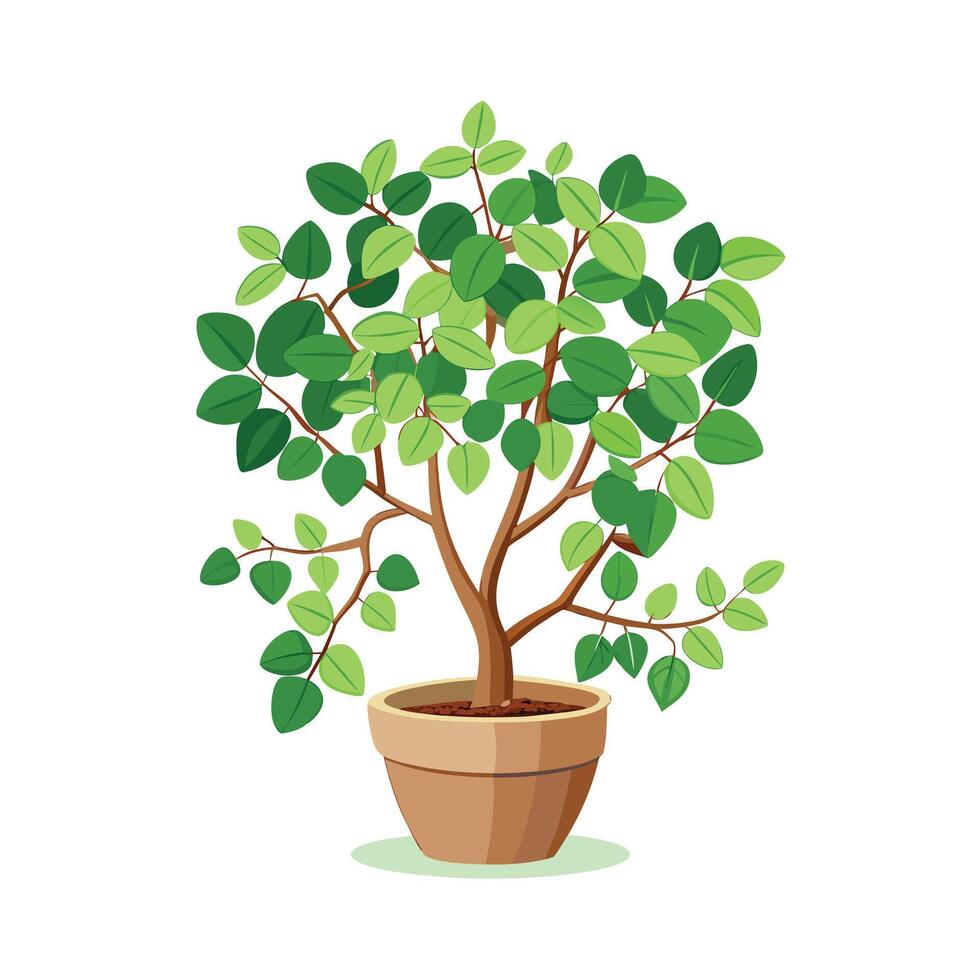 Beautiful Flowerpot Houseplant Illustration vector