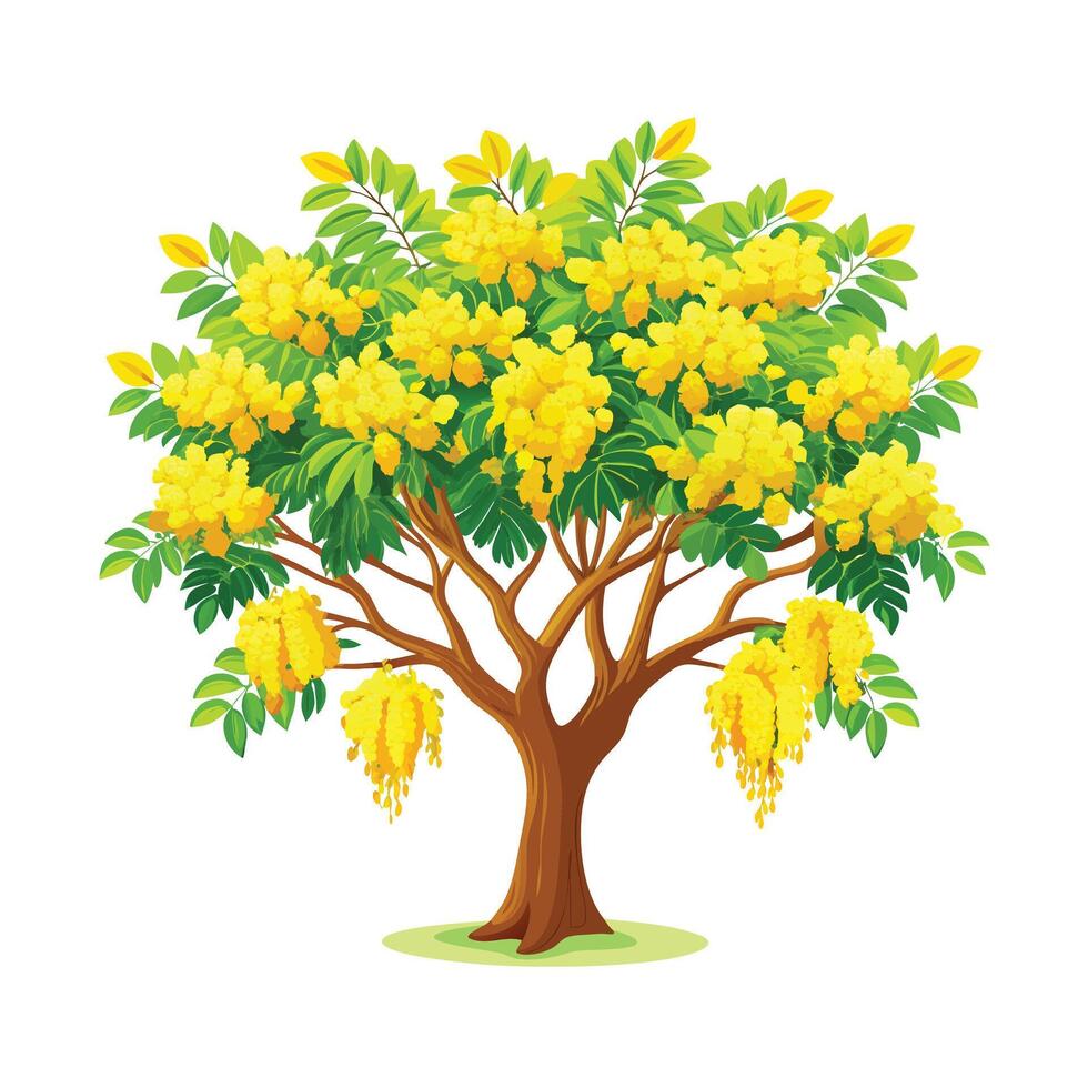 Beautiful Single Big Tree Illustration vector