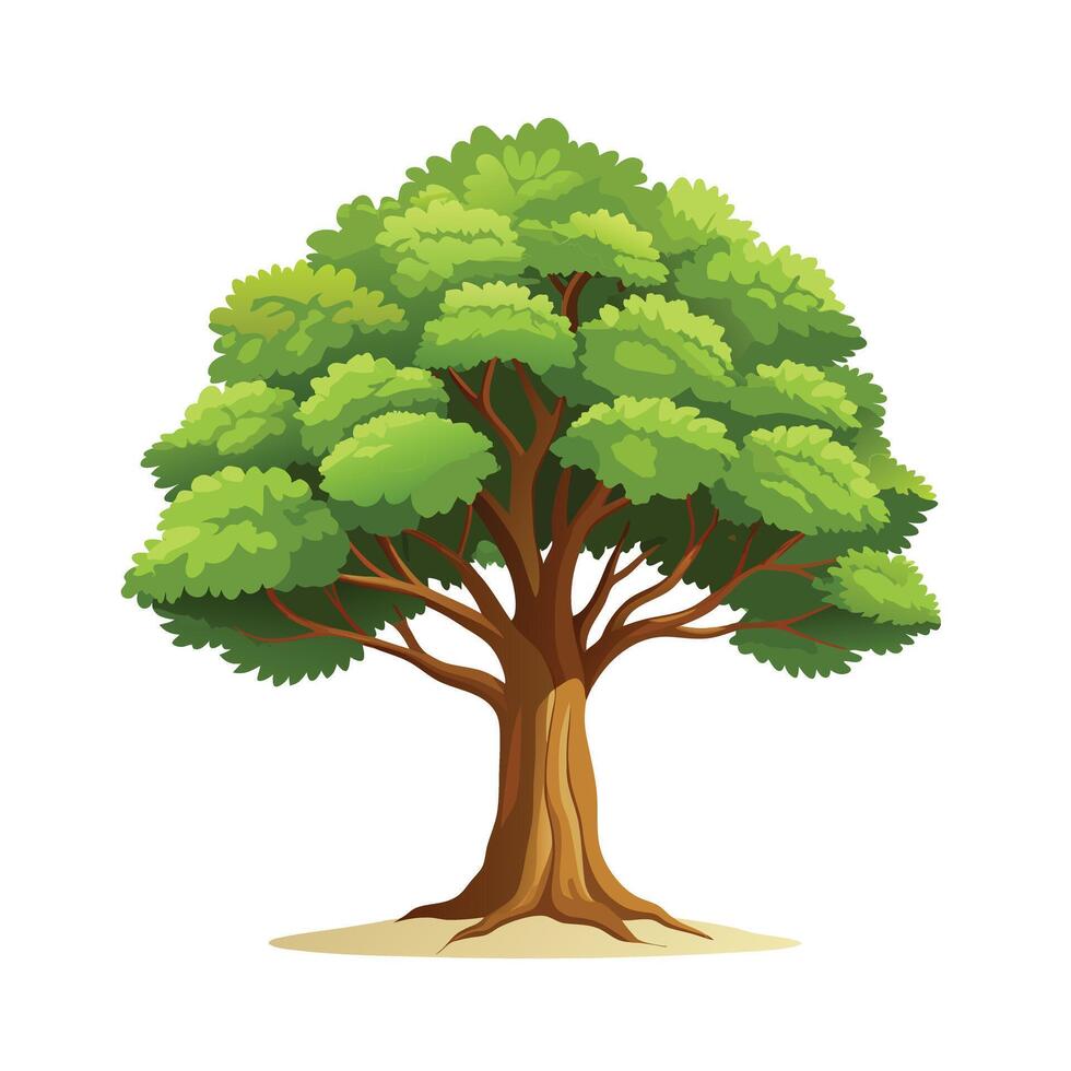 Beautiful Single Big Tree Illustration vector