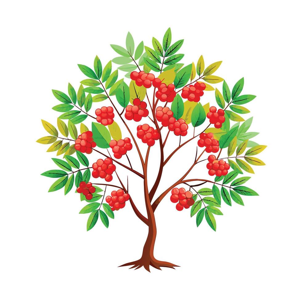 Beautiful Single Big Tree Illustration vector