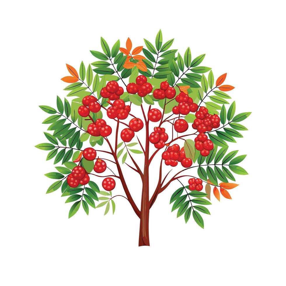 Beautiful Single Big Tree Illustration vector