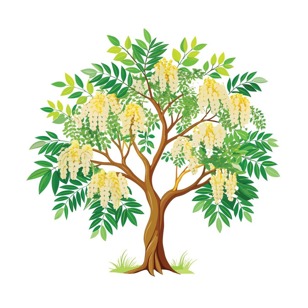 Beautiful Single Big Tree Illustration vector
