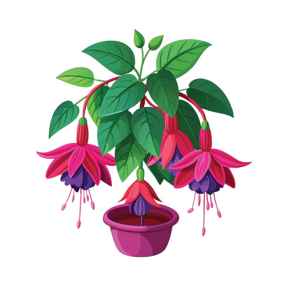 Beautiful Flowerpot Houseplant Illustration vector