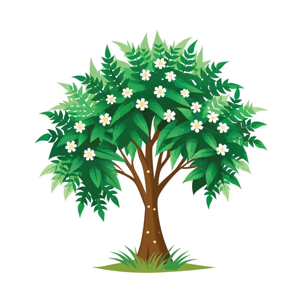 Beautiful Single Big Tree Illustration vector