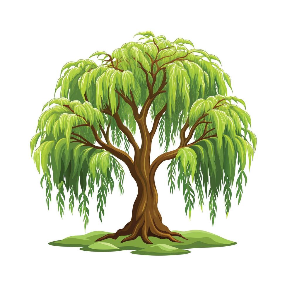 Beautiful Single Big Tree Illustration vector