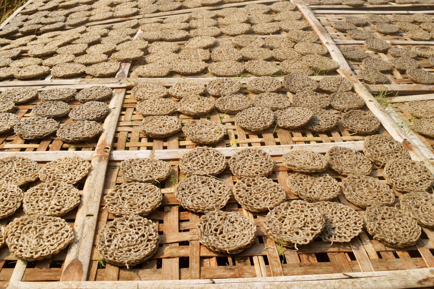 Raw crackers called Kerupuk are in the process of drying around the rice fields photo