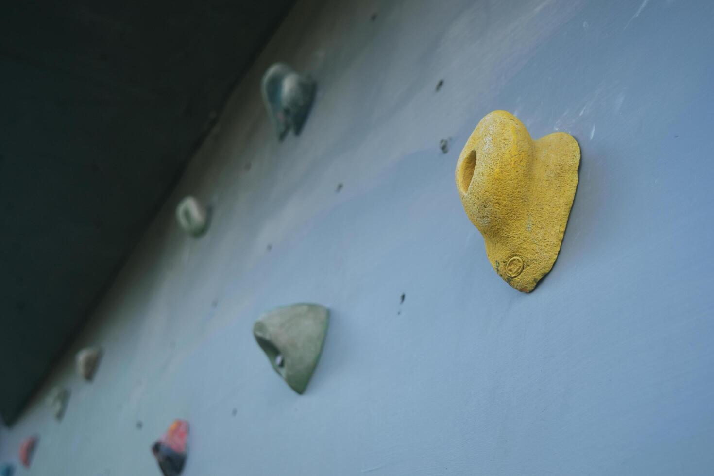 Several colorful climbing steps on a climbing board photo