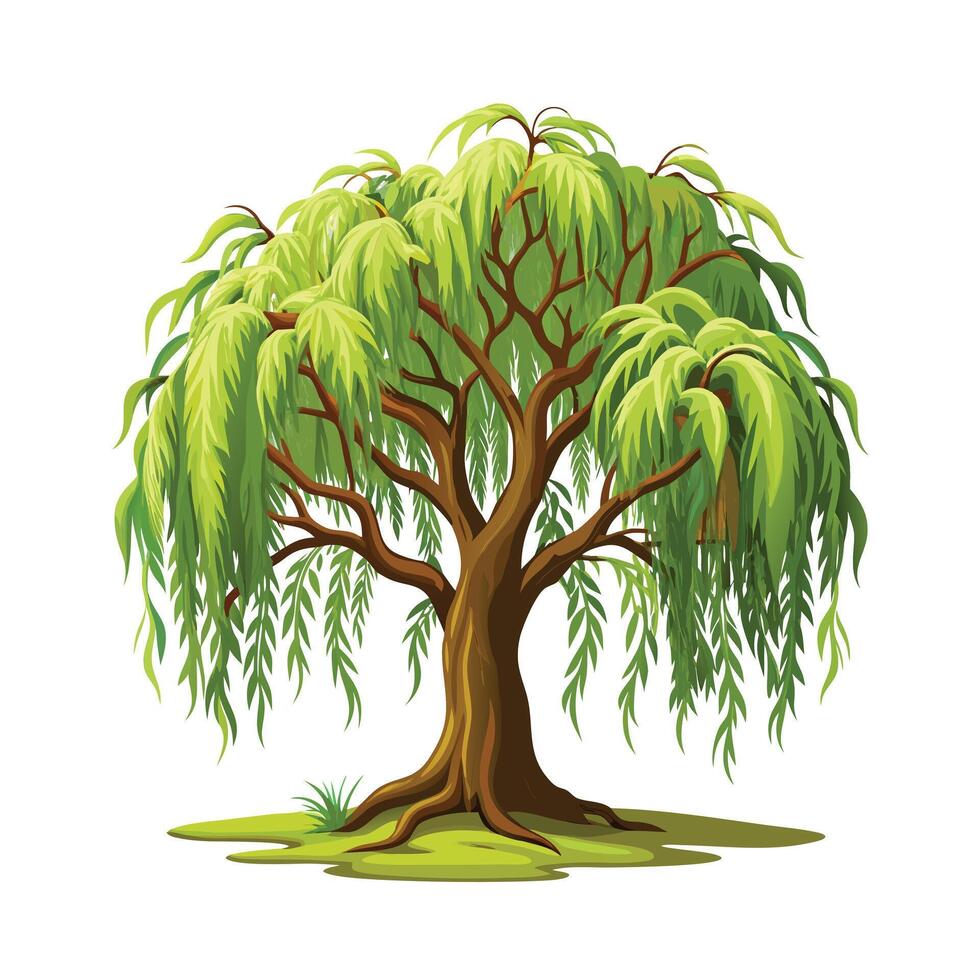 Beautiful Single Big Tree Illustration vector