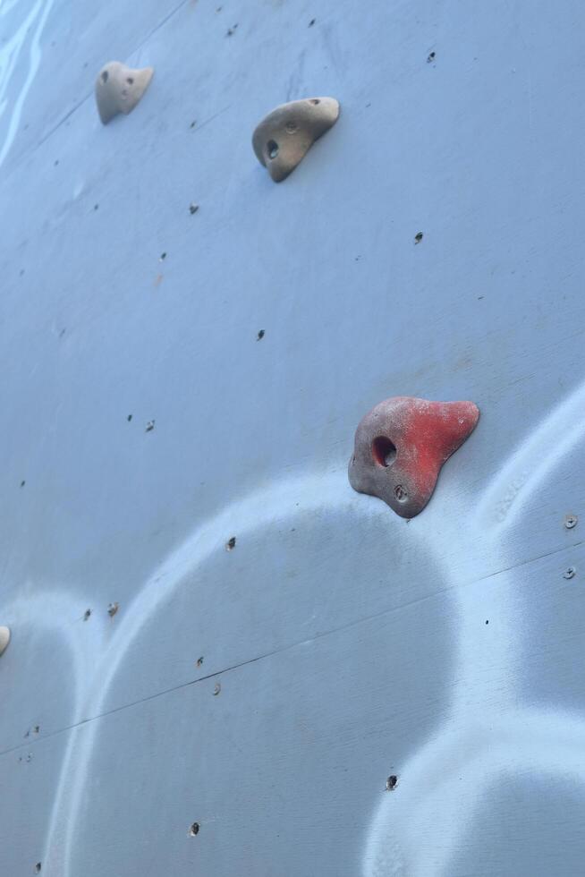 Several colorful climbing steps on a climbing board photo