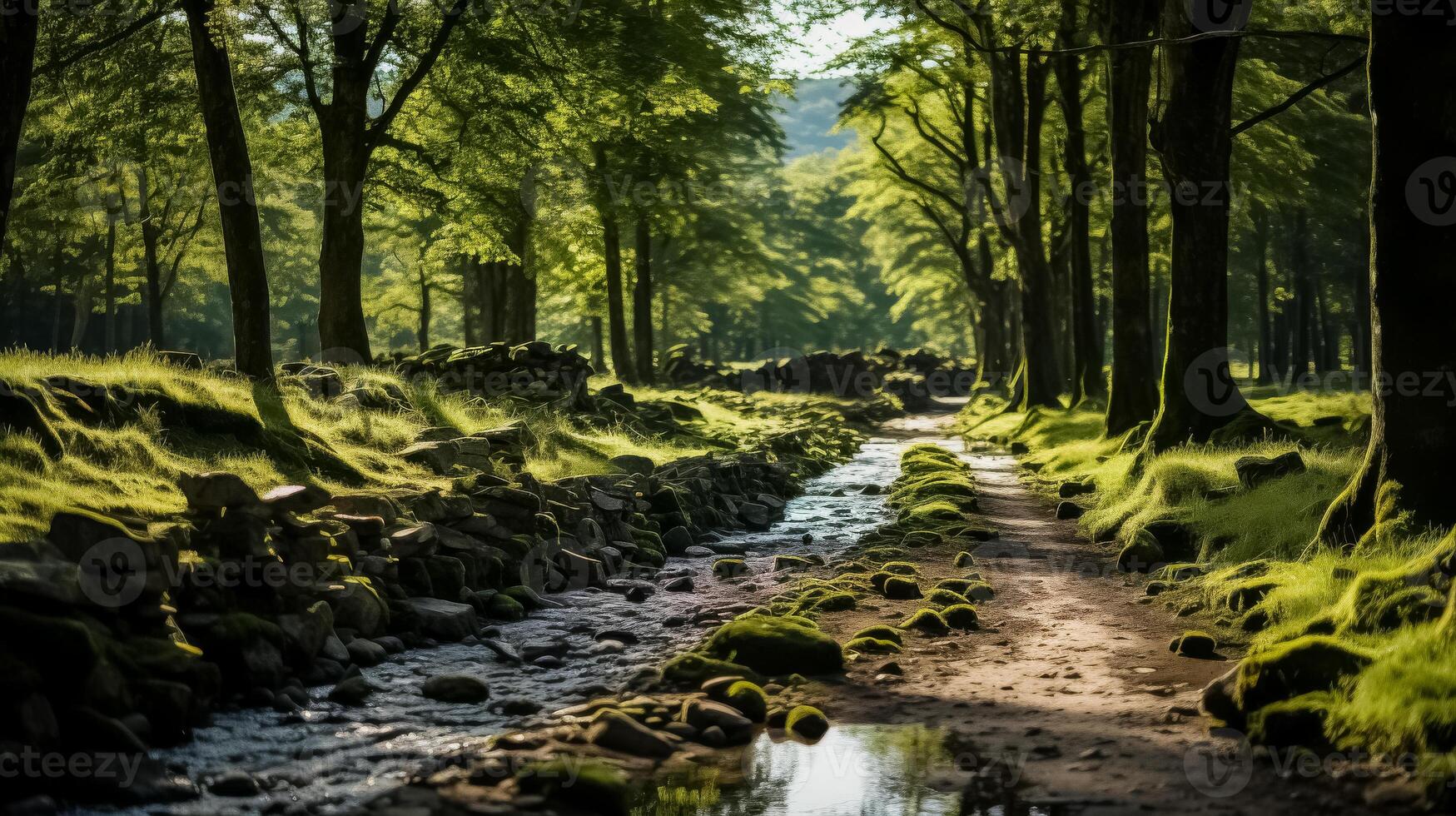 Sunlit Green Forest with Lush Foliage photo