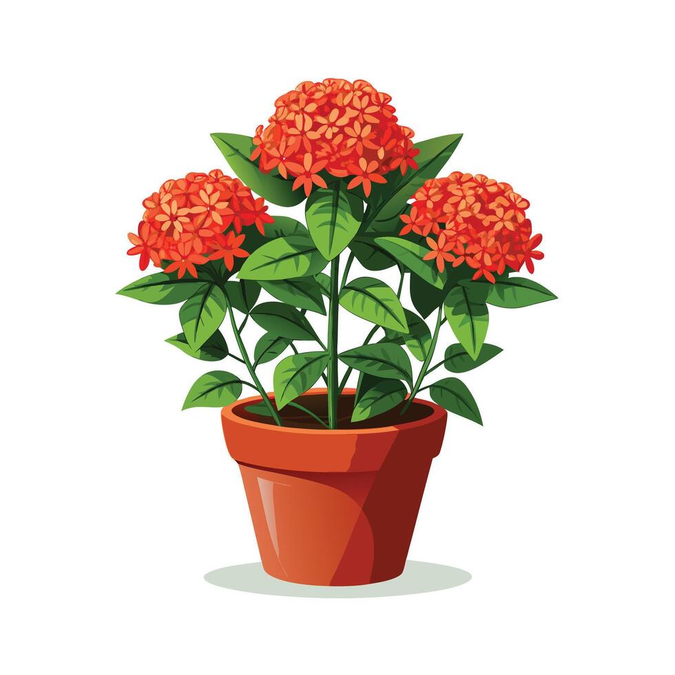 Beautiful Flowerpot Houseplant Illustration vector