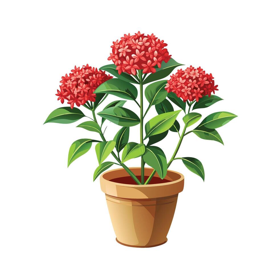 Beautiful Flowerpot Houseplant Illustration vector