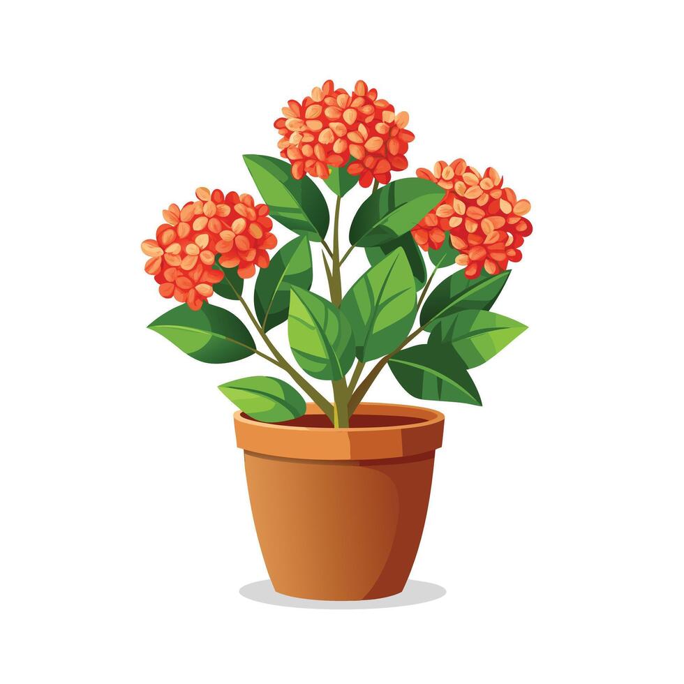 Beautiful Flowerpot Houseplant Illustration vector