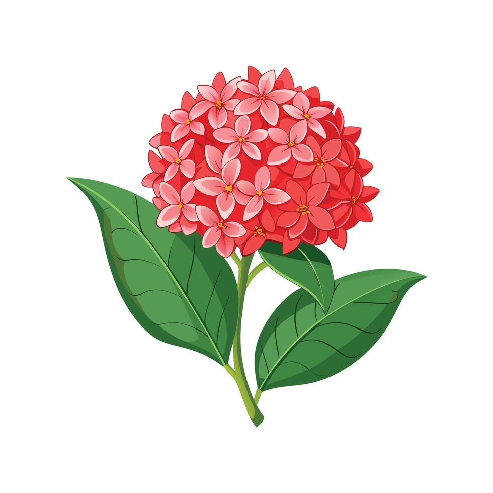 Beautiful Flowerpot Houseplant Illustration vector