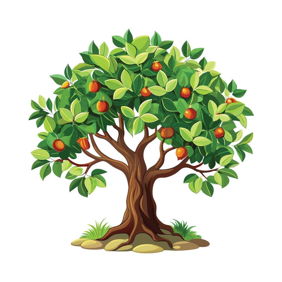 Beautiful Single Big Tree Illustration vector