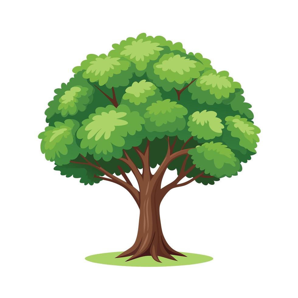 Beautiful Single Big Tree Illustration vector