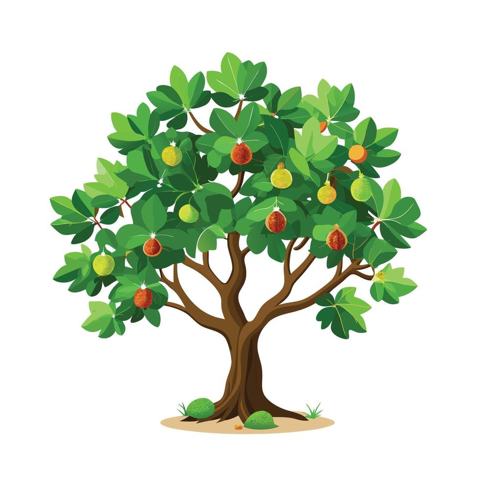 Beautiful Single Big Tree Illustration vector