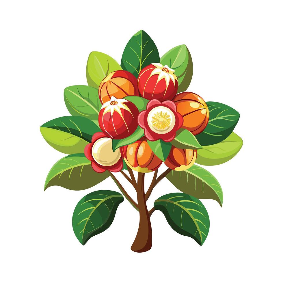 Beautiful Single Big Tree Illustration vector