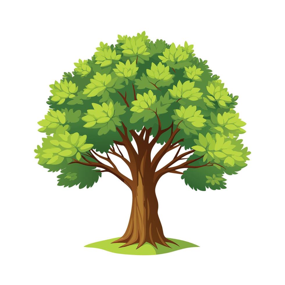 Beautiful Single Big Tree Illustration vector