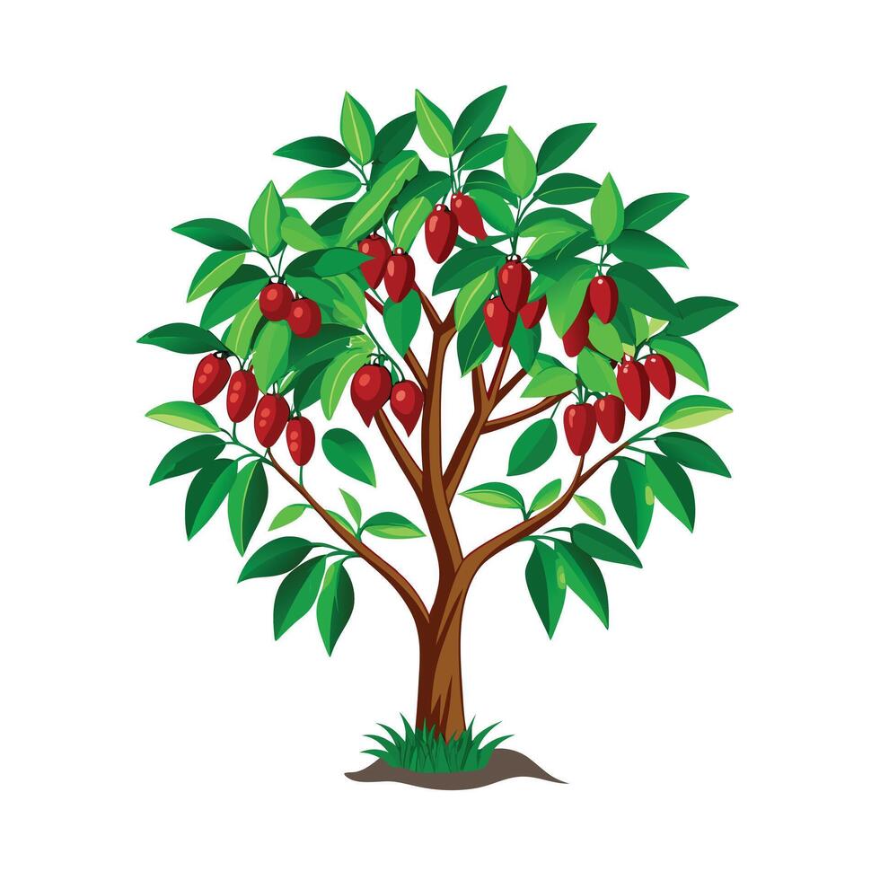 Pepper Tree Vector Art, Icons, and Graphics for Free Download