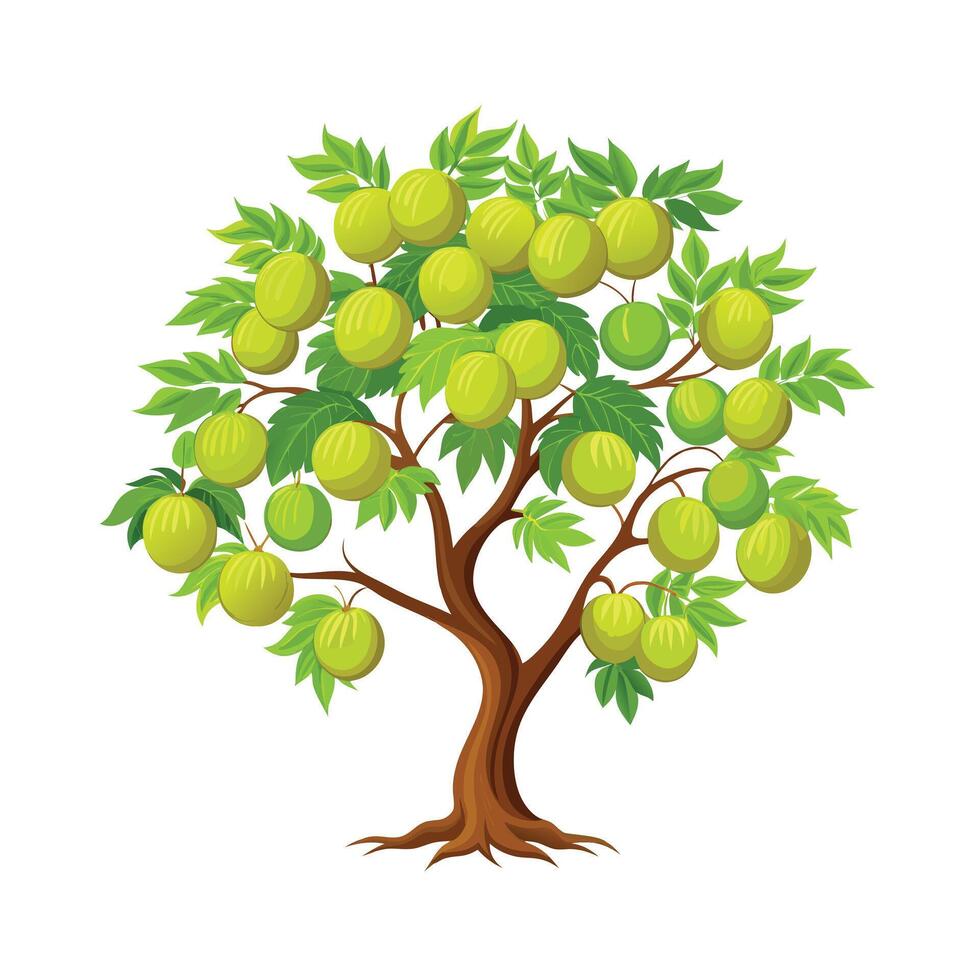 Beautiful Single Big Tree Illustration vector