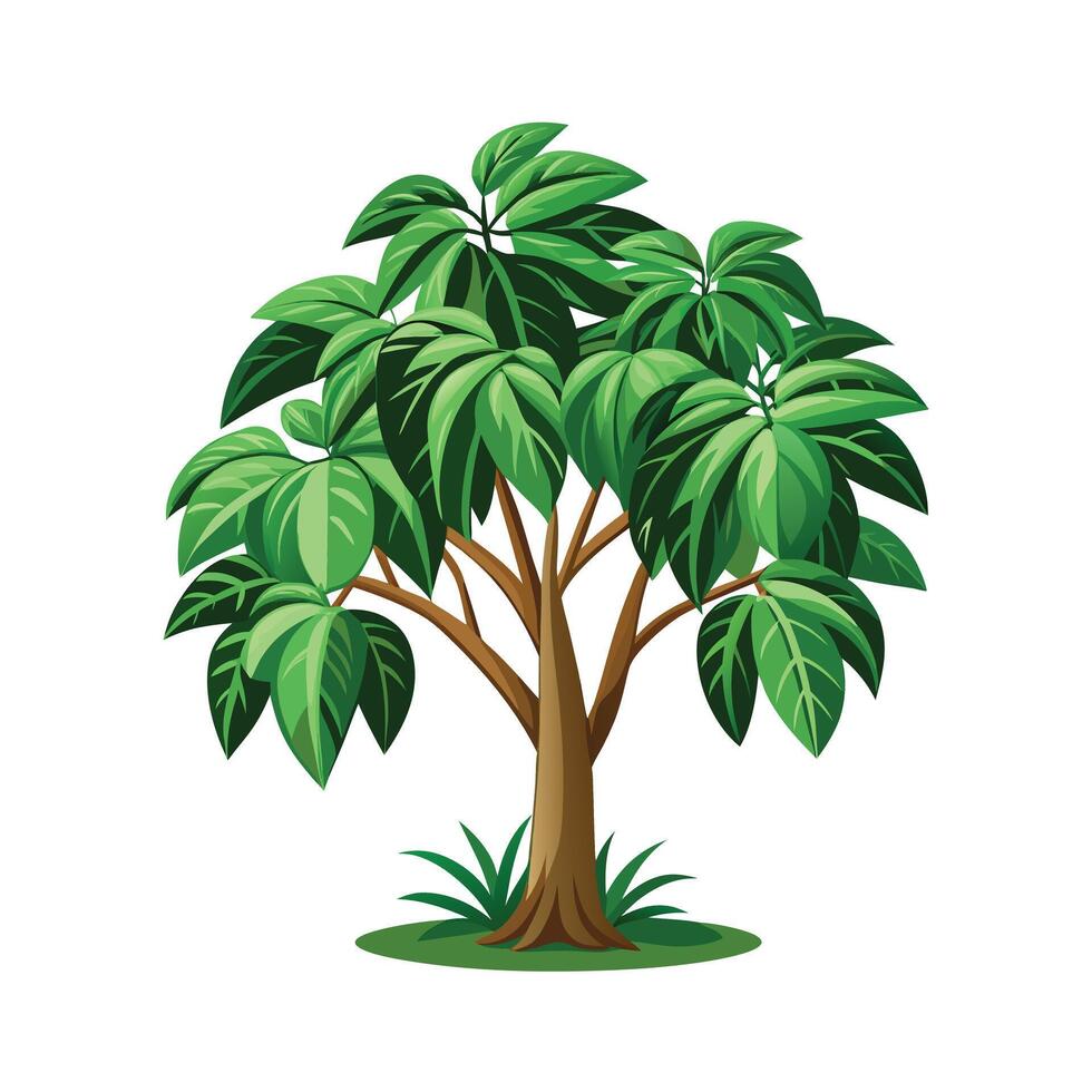 Beautiful Single Big Tree Illustration vector